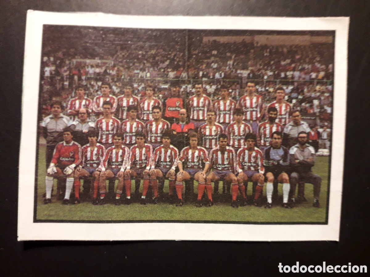 Cromos de F&uacute;tbol: EQUIPO/PLANTILLA SPORTING DE GIJ&Oacute;N N&deg; 243 BOLLYCAO 1987 1988. 87 88 RECORTADO PEDIDO M&Iacute;NIMO 3&euro;