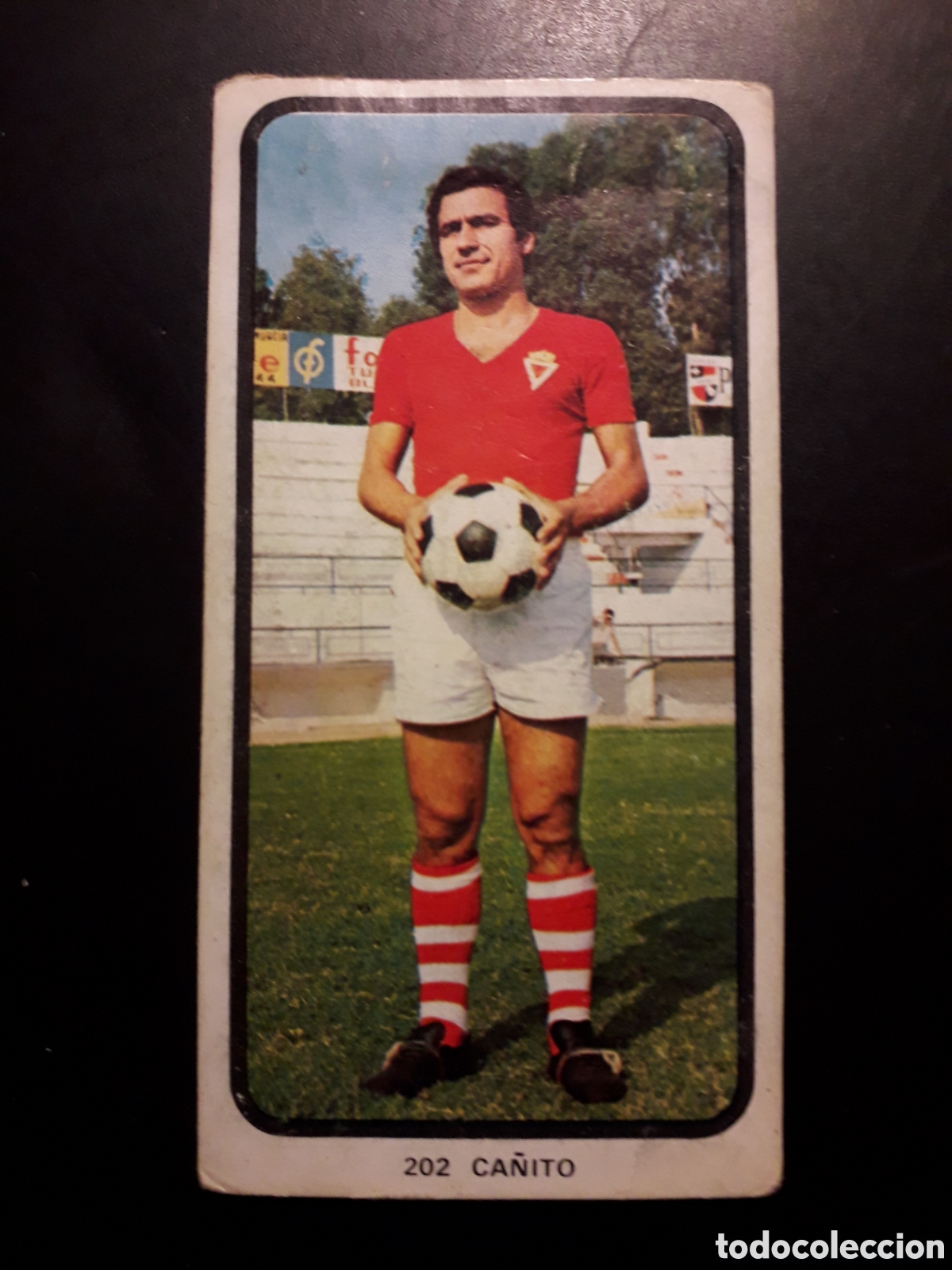 Cromos de F&uacute;tbol: CANITO MURCIA N&deg; 202 RUIZ ROMERO 73 74 1973 1974 DESPEGADO PEDIDO M&Iacute;NIMO 3&euro;