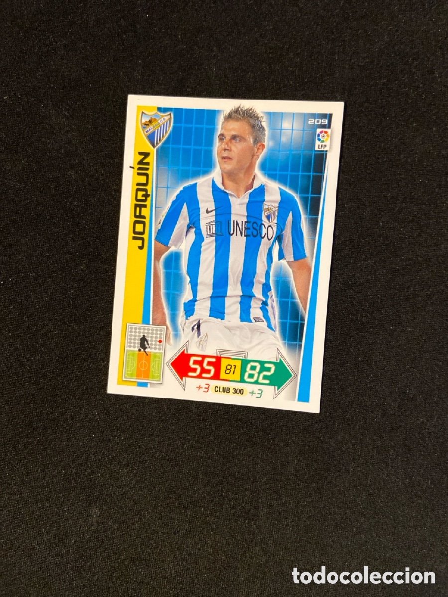 Fu&szlig;ball-Sticker: JOAQUIN 209 (M&Aacute;LAGA) 2012-2013 12 13 ADRENALYN PANINI CROMO CARTA A-2
