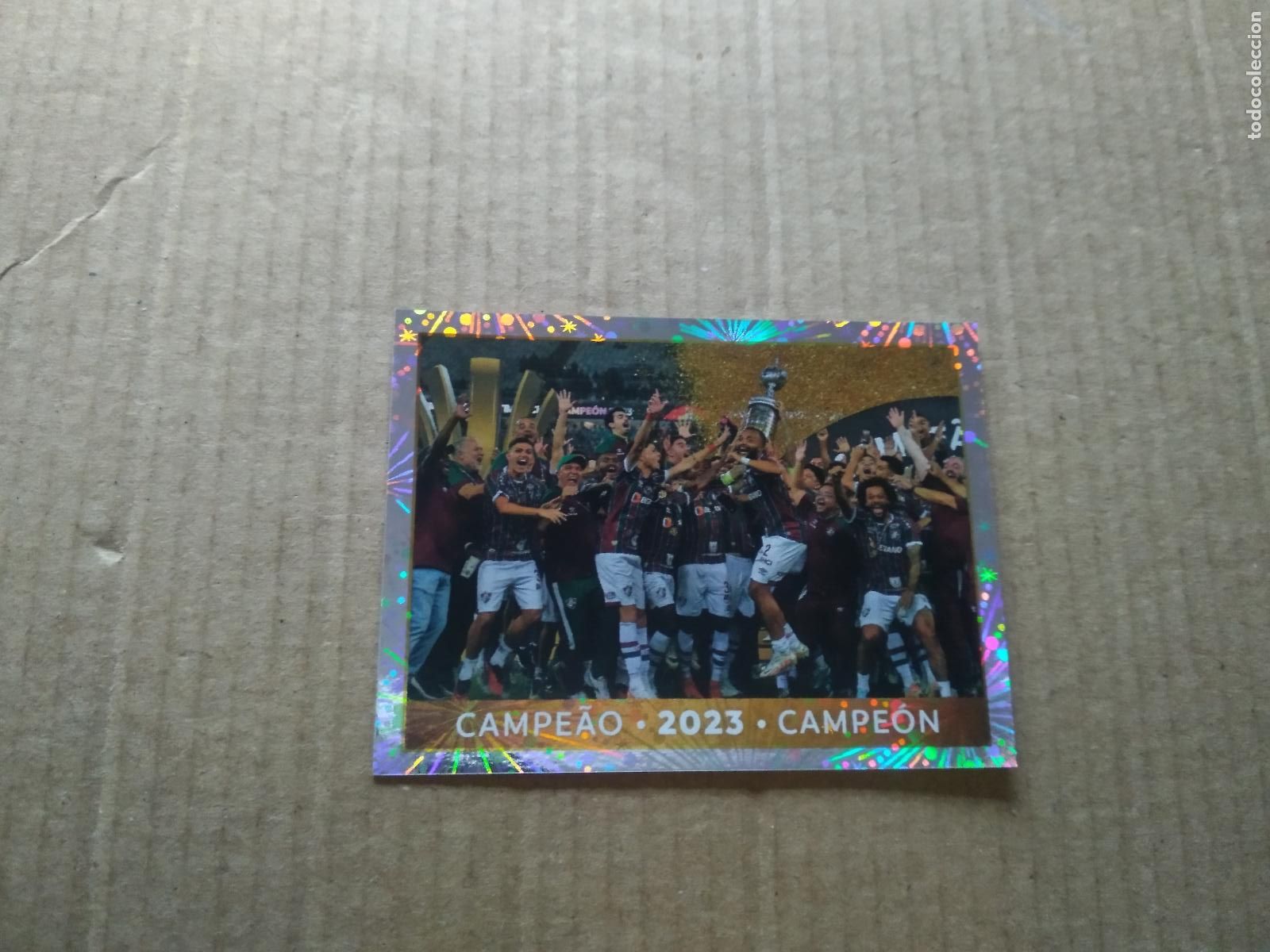 Cromos de F&uacute;tbol: CL4 FLUMINENSE CAMPEON 2023 CROMO FUTBOL PANINI CONMEBOL COPA LIBERTADORES 2024