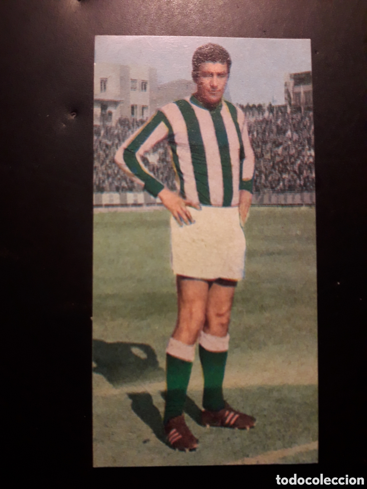 Cromos de F&uacute;tbol: PACH&Iacute;N BETIS N&deg; 372 RUIZ ROMERO 69 70 1969 1970 SIN PEGAR PEDIDO M&Iacute;NIMO 3&euro;