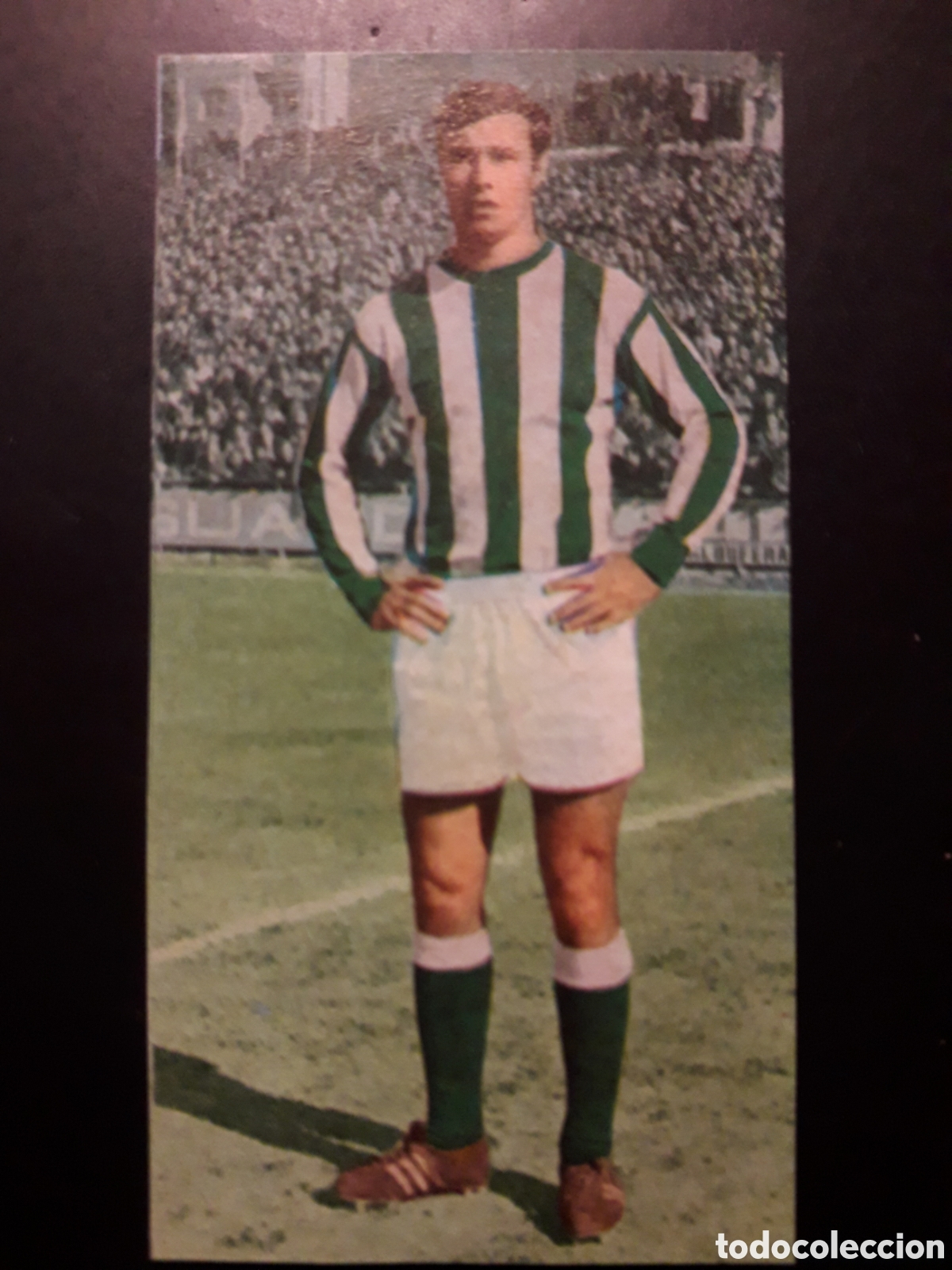 Cromos de F&uacute;tbol: SANTI BETIS N&deg; 373 RUIZ ROMERO 69 70 1969 1970 DESPEGADO PEDIDO M&Iacute;NIMO 3&euro;