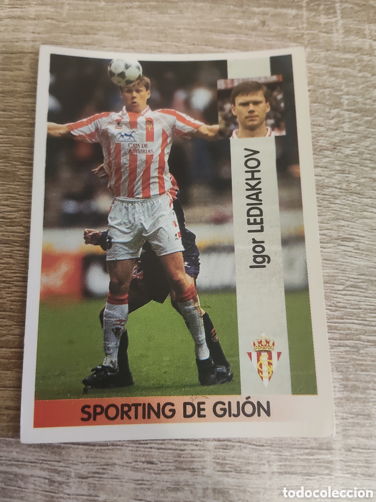 Cromos de F&uacute;tbol: Panini liga 1996 1997 96 97 284 Lediakhov Sporting de Gij&oacute;n