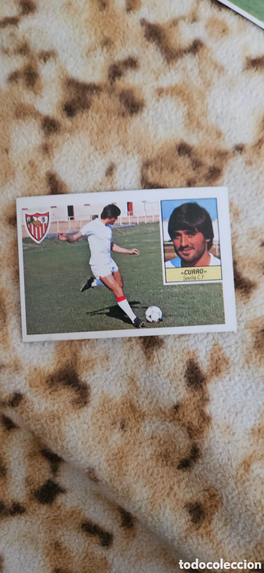 Cromos de f&uacute;tbol: Curro Sevilla este 1984 1985 84 85 sin pegar