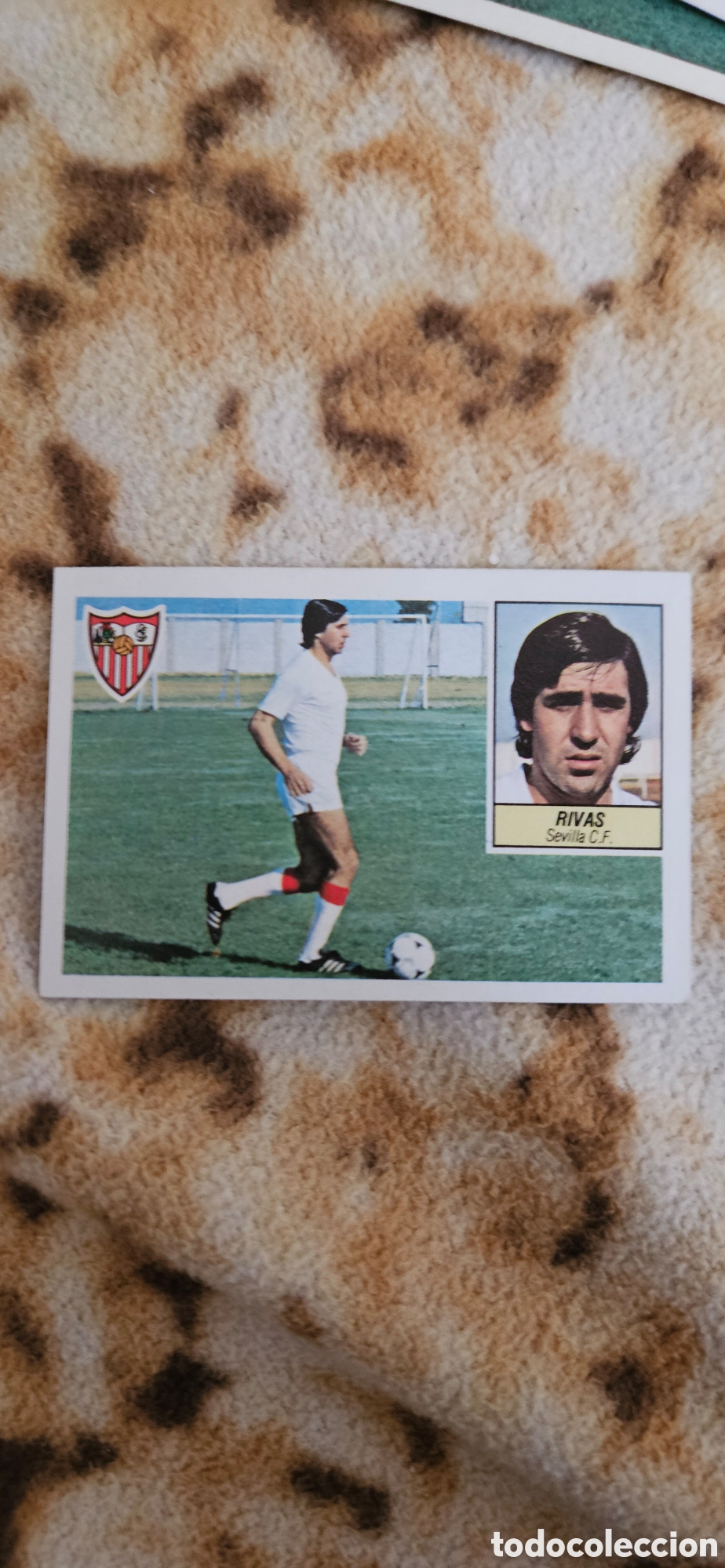 Cromos de f&uacute;tbol: Rivas Sevilla baja este 1984 1985 84 85
