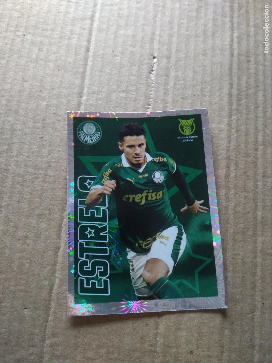 Cromos de F&uacute;tbol: E4 Raphael Veiga PALMEIRAS CROMO FUTBOL PANINI BRASILEIRAO 2024 LIGA BRASIL BRASILEIRO