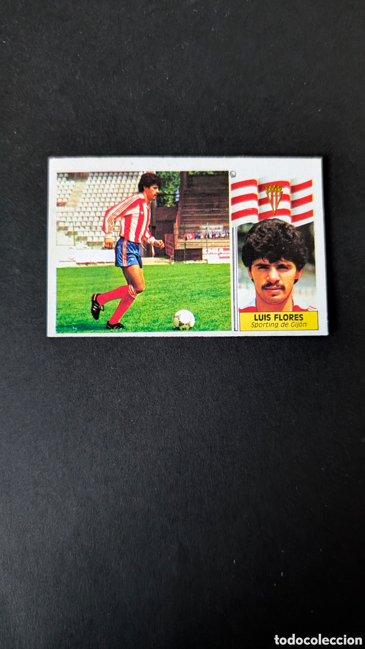 Cromos de F&uacute;tbol: LUIS FLORES SPORTING GIJON COLOCA LIGA ESTE 1986/87 86 87 DESPEGADO