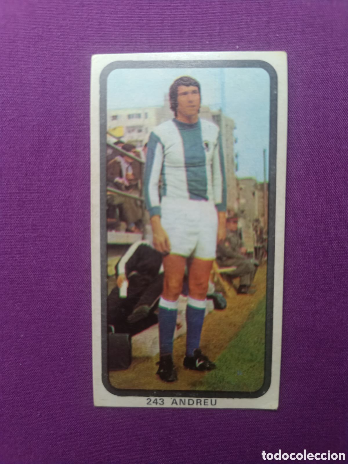 Cromos de F&uacute;tbol: ANDREU #243 RUIZ ROMERO 74 75 H&Eacute;RCULES NUNCA PEGADO