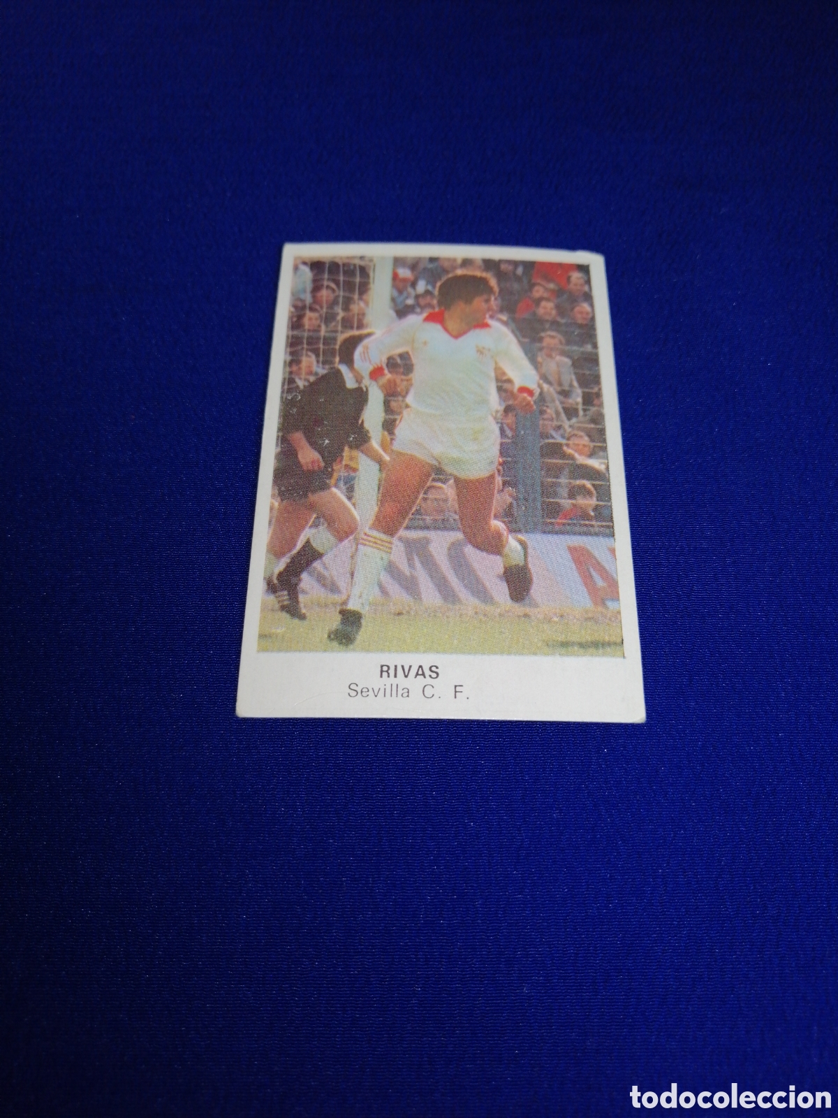 Cromos de F&uacute;tbol: F&Uacute;TBOL 84 -SEVILLA CLUB DE FURBOL - RIVAS