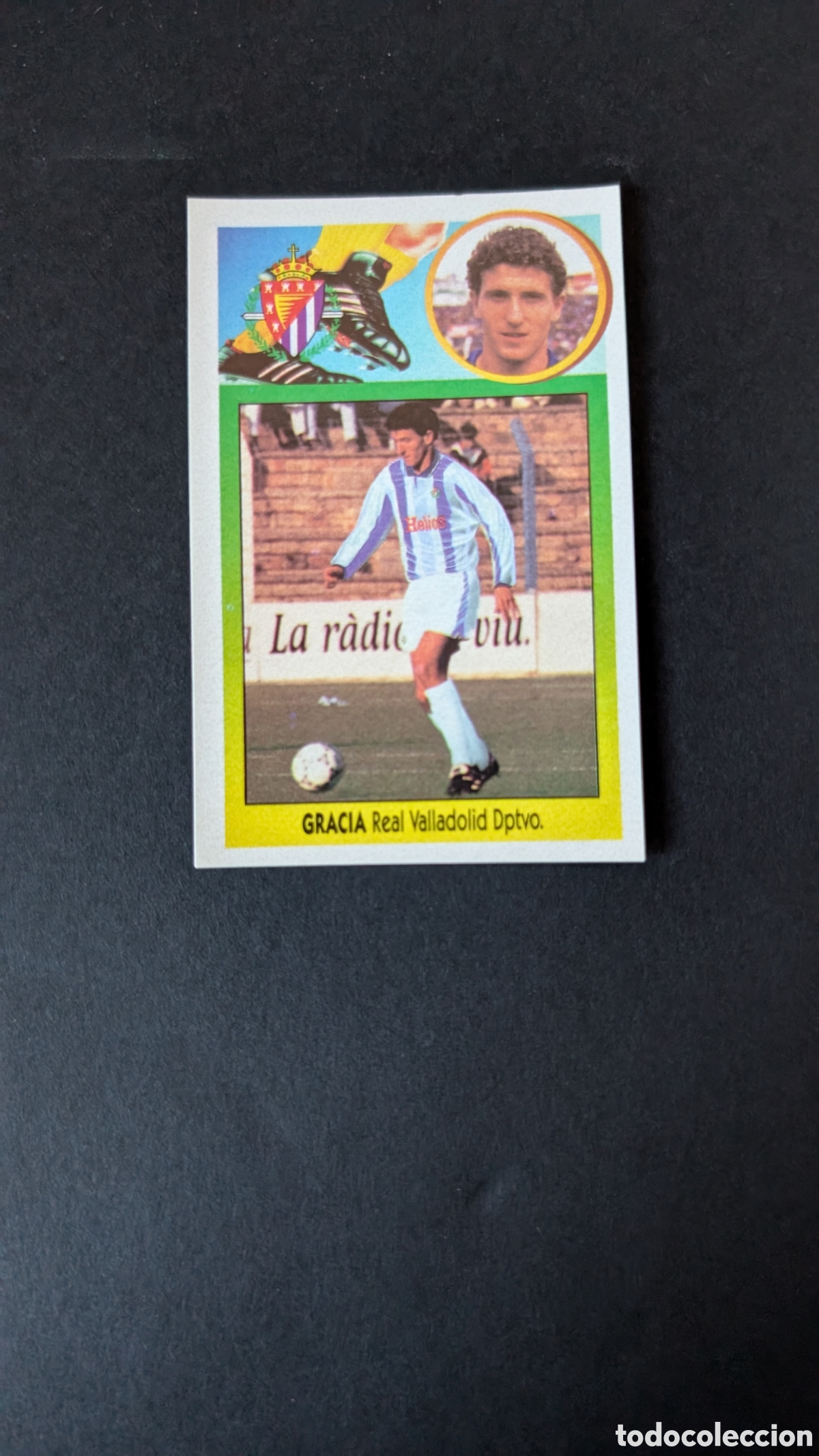 Cromos de Futebol: GRACIA VALLADOLID COLOCA ADHESIVO LIGA ESTE 1993/94 93 94 NUNCA PEGADO SIN PEGAR