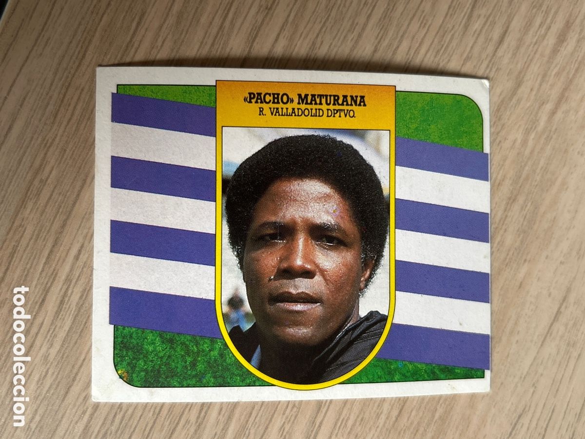 Cartes &agrave; collectionner de Football: PACHO MATURANA ENTRENADOR VALLADOLID LIGA ESTE 1991 1992 91 92 NUNCA PEGADO SIN PEGAR CARTON