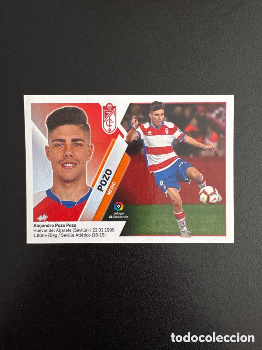 Figurine di Calcio: POZO GRANADA N&Uacute;MERO 10 LIGA ESTE 2019 2020