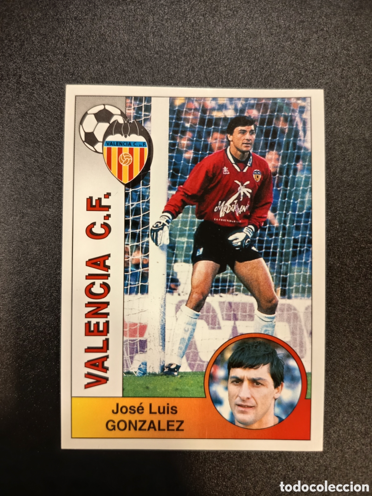 Cromos de F&uacute;tbol: Cromo Valencia C.F n&ordm; 309 Gonz&aacute;lez Liga de Futbol Profesional Panini 94-95 1994 1995 SIN PEGAR