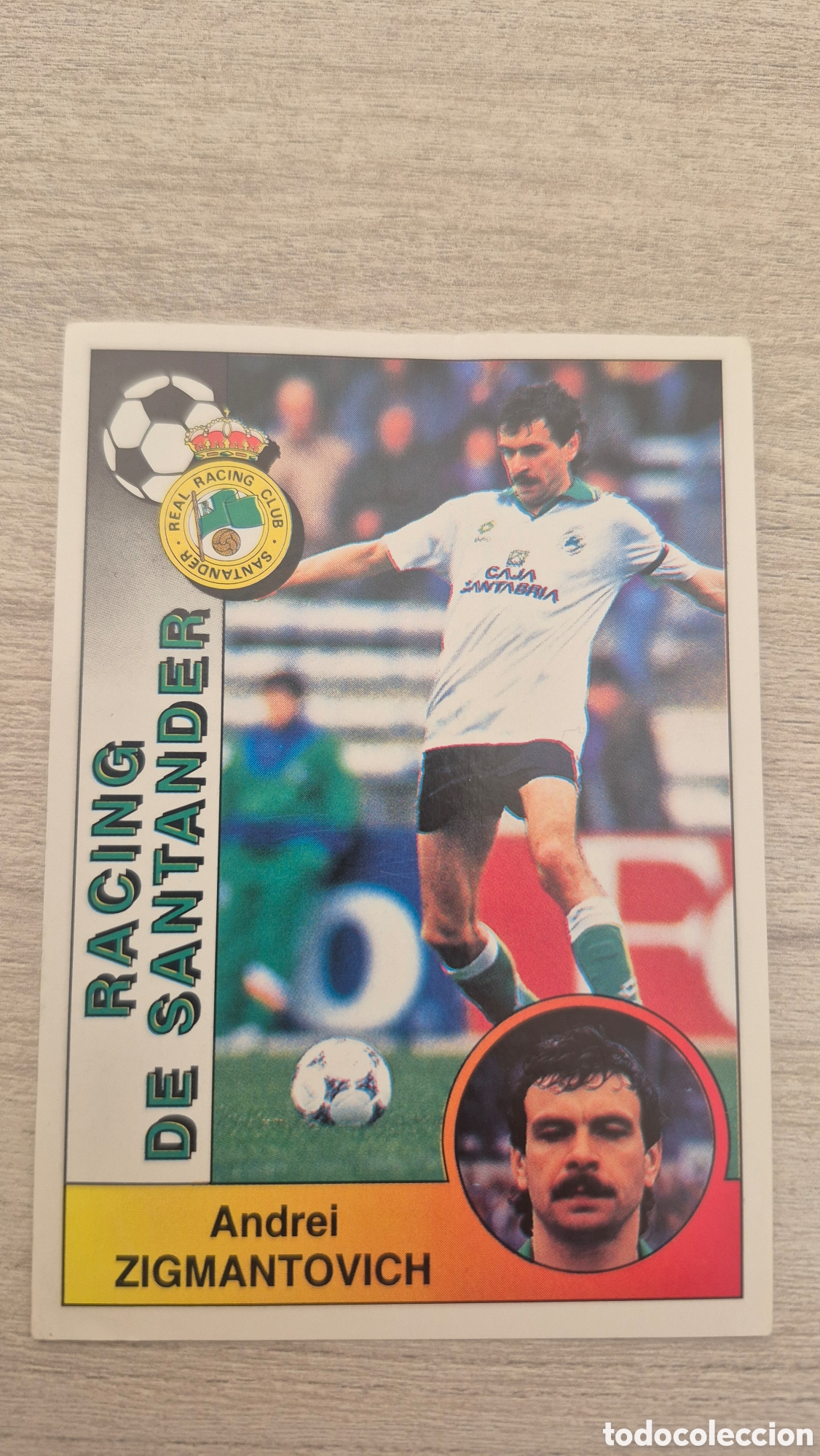 Football Stickers: N&deg;221 Racing de Santander Zigmantovich Liga 94/95 Panini