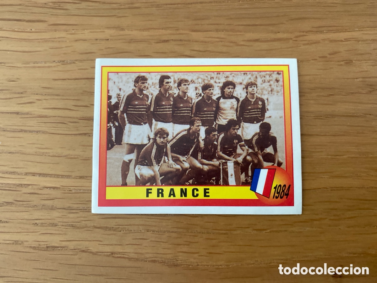 Football Stickers: Cromo panini euro 96 n&uacute;mero 14 - Europa Eurocup sticker Album 1996 Francia selecci&oacute;n Platini