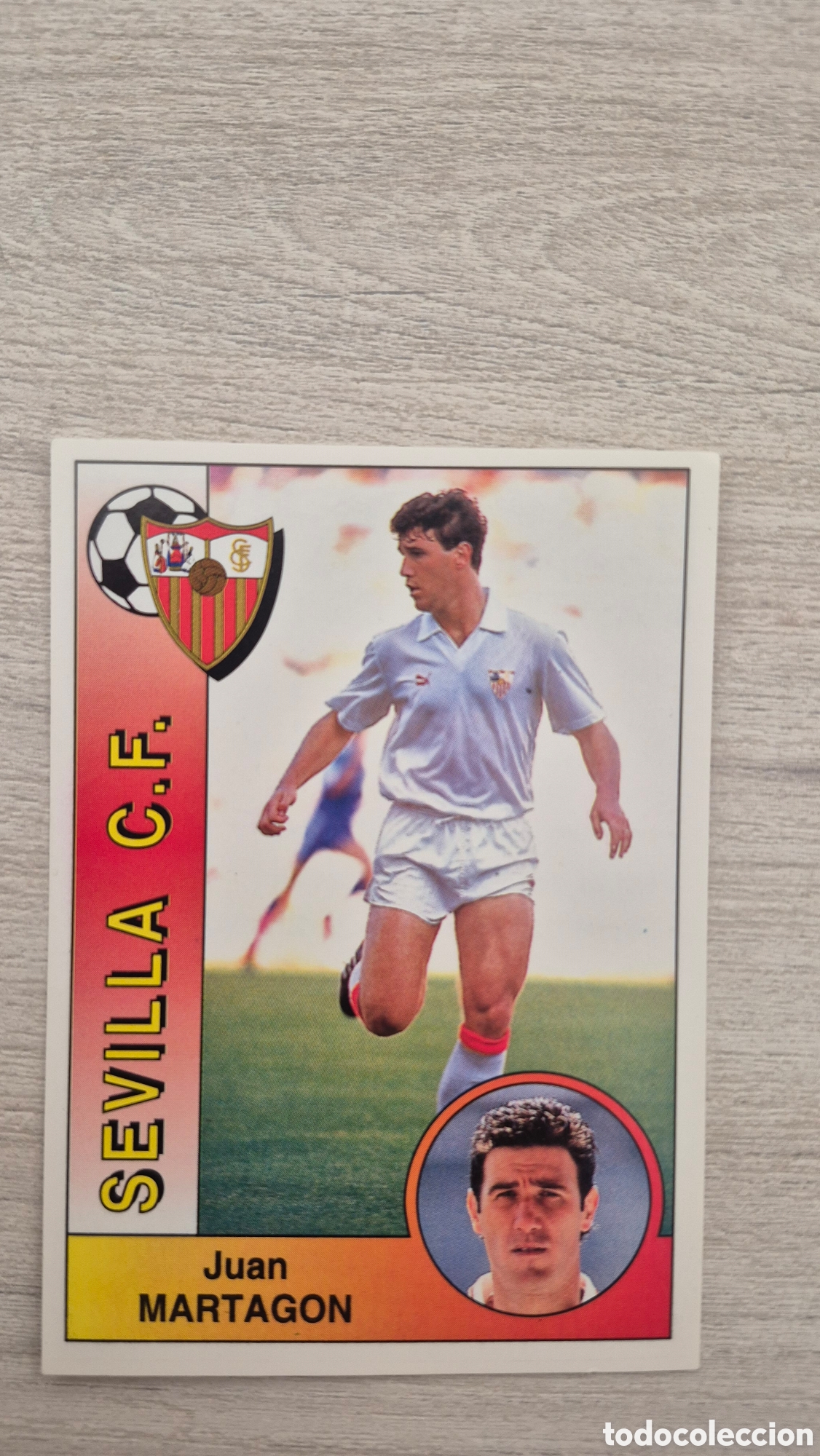 Cromos de F&uacute;tbol: N&deg;242 Sevilla Martagon Liga 94/95 Panini
