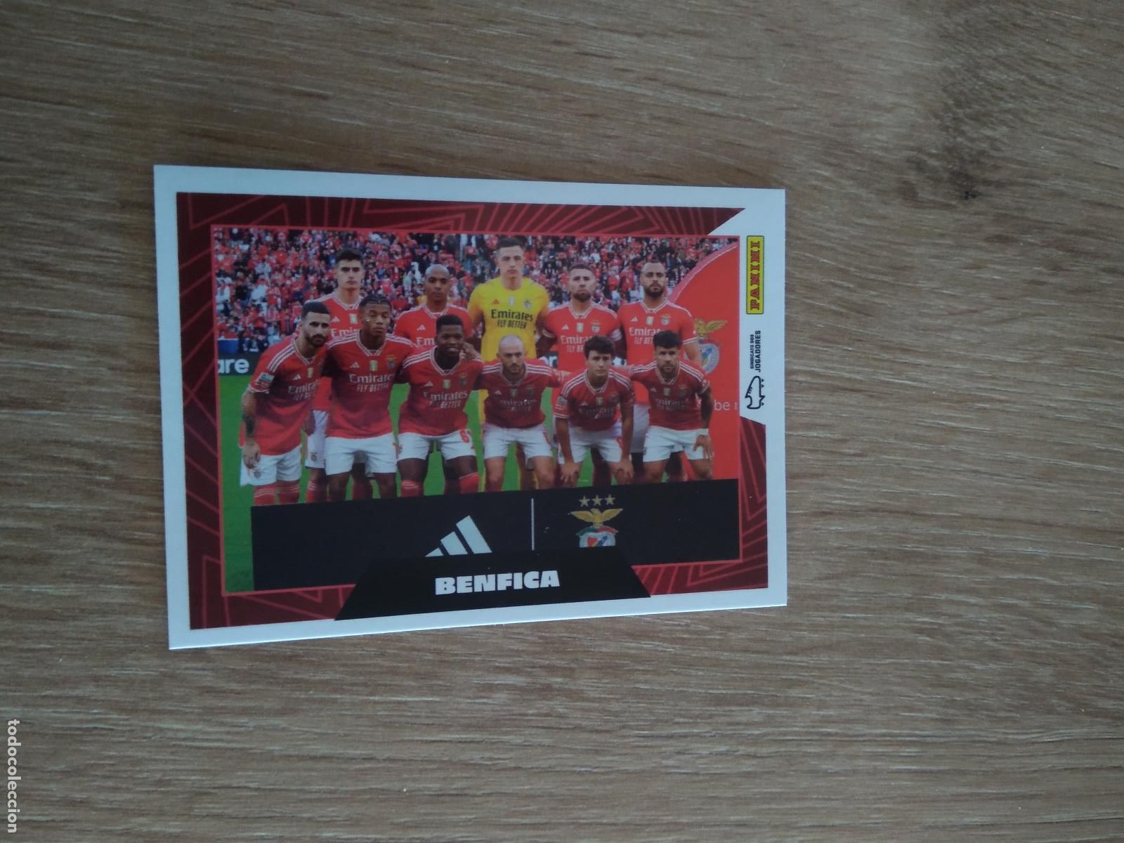 Cartes &agrave; collectionner de Football: 38 EQUIPO PLANTILLA BENFICA CROMO FUTBOL PANINI LIGA PORTUGAL 2023-2024 LIGA BETCLIC 23-24