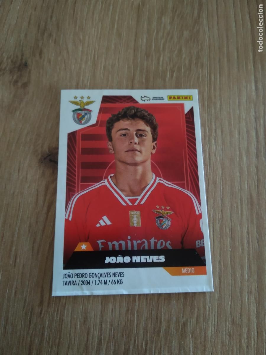 Cartes &agrave; collectionner de Football: 49 JOAO NEVES BENFICA CROMO FUTBOL PANINI LIGA PORTUGAL 2023-2024 LIGA BETCLIC 23-24