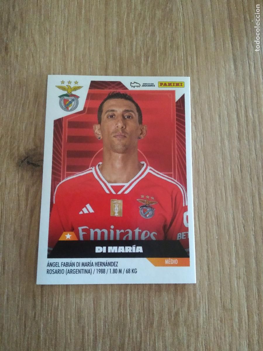 Cartes &agrave; collectionner de Football: 53 DI MARIA BENFICA CROMO FUTBOL PANINI LIGA PORTUGAL 2023-2024 LIGA BETCLIC 23-24
