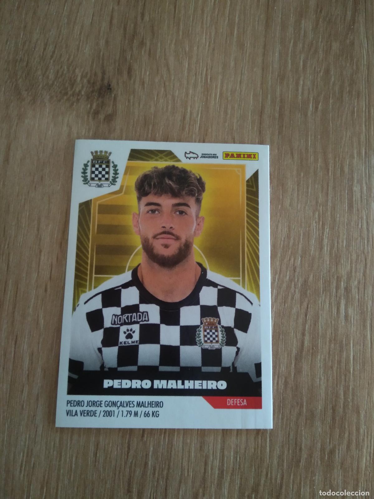 Football Stickers: 60 PEDRO MALHEIRO BOAVISTA CROMO FUTBOL PANINI LIGA PORTUGAL 2023-2024 LIGA BETCLIC 23-24