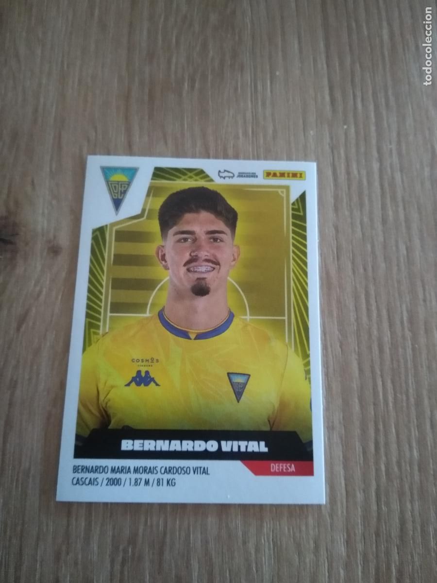 Cromos de F&uacute;tbol: 138 BERNARDO VITAL ESTORIL CROMO FUTBOL PANINI LIGA PORTUGAL 2023-2024 FUTEBOL LIGA BETCLIC 23-24