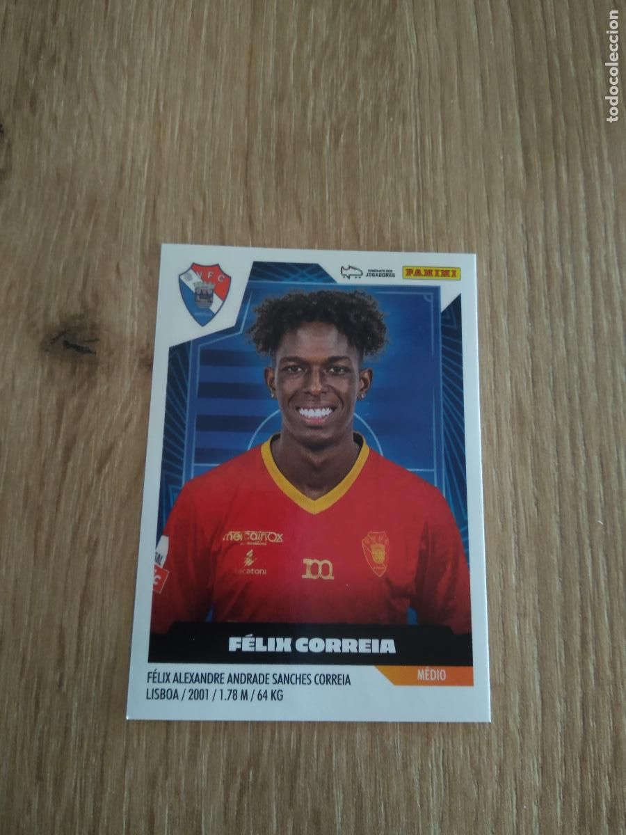 Fu&szlig;ball-Sticker: 221 FELIX CORREIA GIL VICENTE CROMO FUTBOL PANINI LIGA PORTUGAL 2023-2024 FUTEBOL 23-24