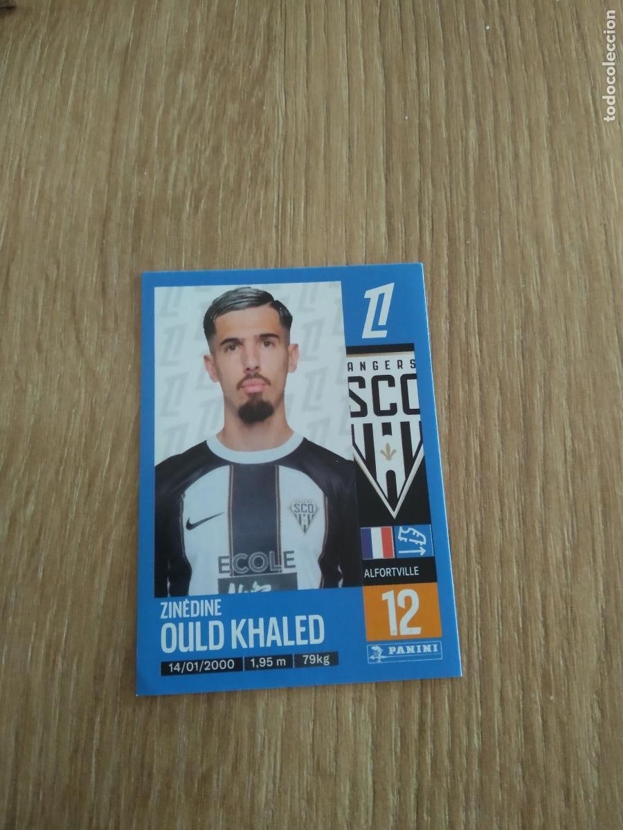 Cromos de F&uacute;tbol: 29 ZINEDINE OULD KHALED ANGERS CROMO FUTBOL PANINI LIGUE 1 FOOT 24-25 LIGA FRANCIA 2024-2025