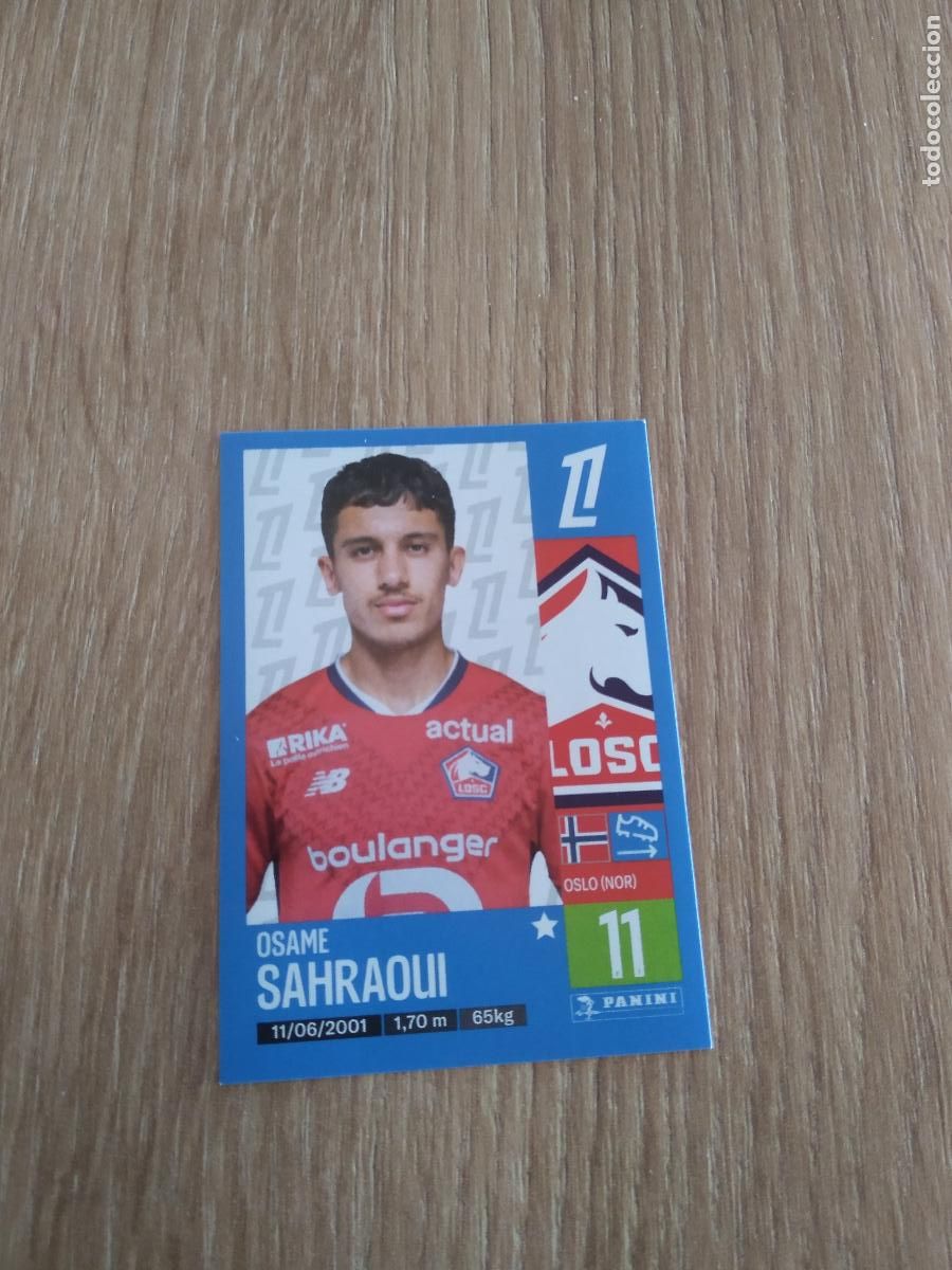 Cromos de F&uacute;tbol: 177 OSAME SAHRAOUI LOSC LILLE CROMO FUTBOL PANINI LIGUE 1 FOOT 24-25 LIGA FRANCIA 2024-2025