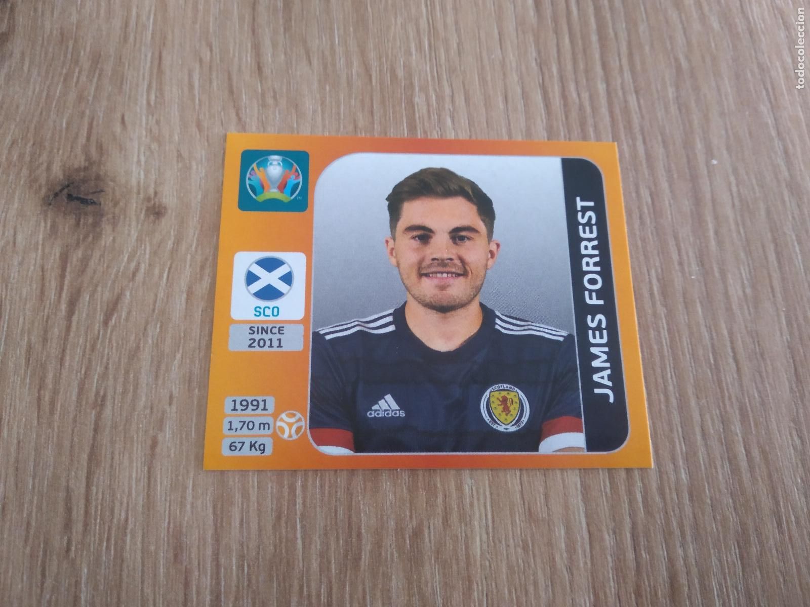 Cromos de F&uacute;tbol: 446 JAMES FORREST ESCOCIA CROMO PANINI EURO 2020 EUROCOPA FUTBOL TOURNAMENT EDITION