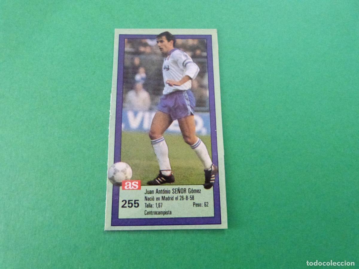 Cartes &agrave; collectionner de Football: CROMO FUTBOL SE&Ntilde;OR REAL ZARAGOZA RECORTADO N&ordm; 255 ASES DE LA LIGA 1989-1990/89-90 DIARIO AS