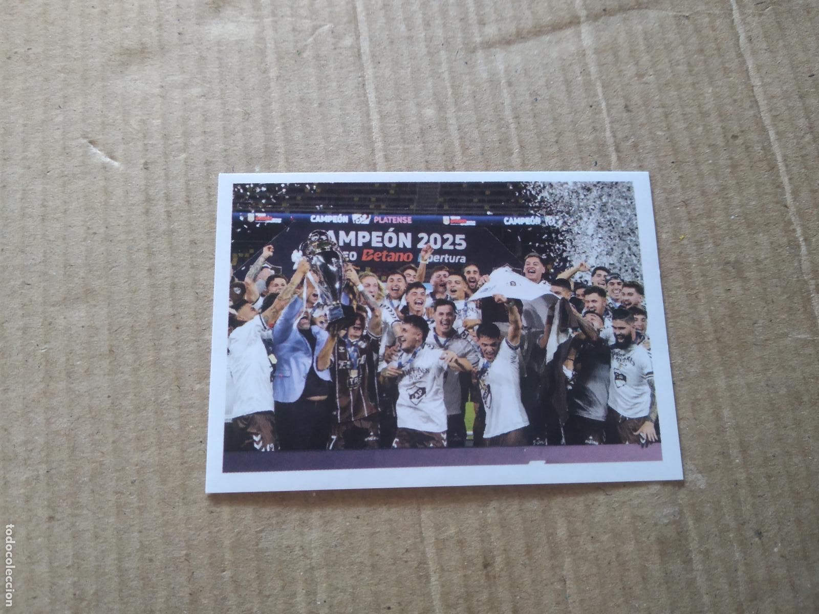 Cromos de Futebol: COP8 EQUIPO PLANTILLA PLATENSE CAMPEON CROMO FUTBOL ARGENTINO PANINI LIGA ARGENTINA 2025