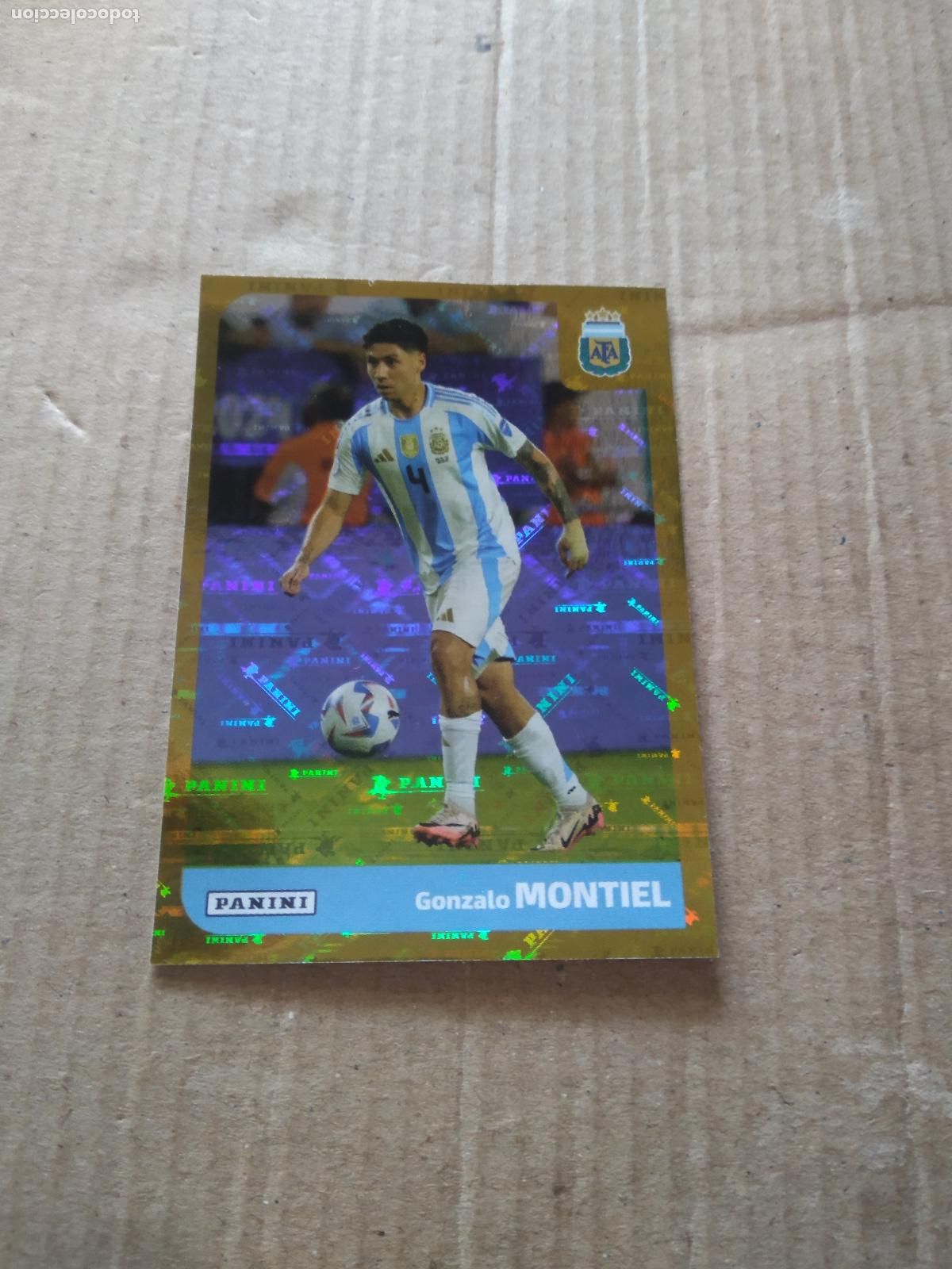 Cromos de F&uacute;tbol: ARG 7 GONZALO MONTIEL SELECCION NACIONAL CROMO FUTBOL ARGENTINO PANINI LIGA ARGENTINA 2025