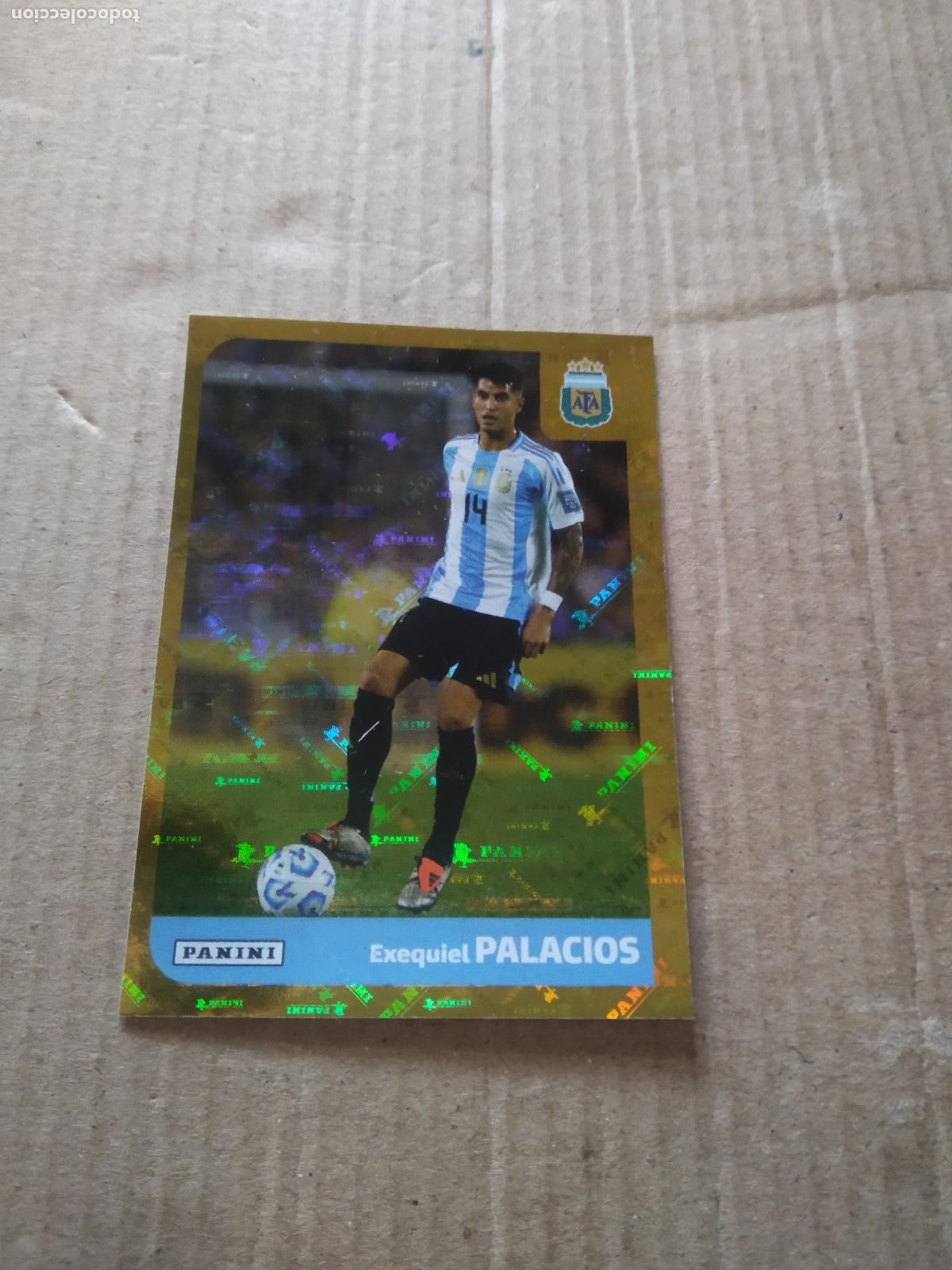 Cromos de F&uacute;tbol: ARG 12 EXEQUIEL PALACIOS SELECCION NACIONAL CROMO FUTBOL ARGENTINO PANINI LIGA ARGENTINA 2025