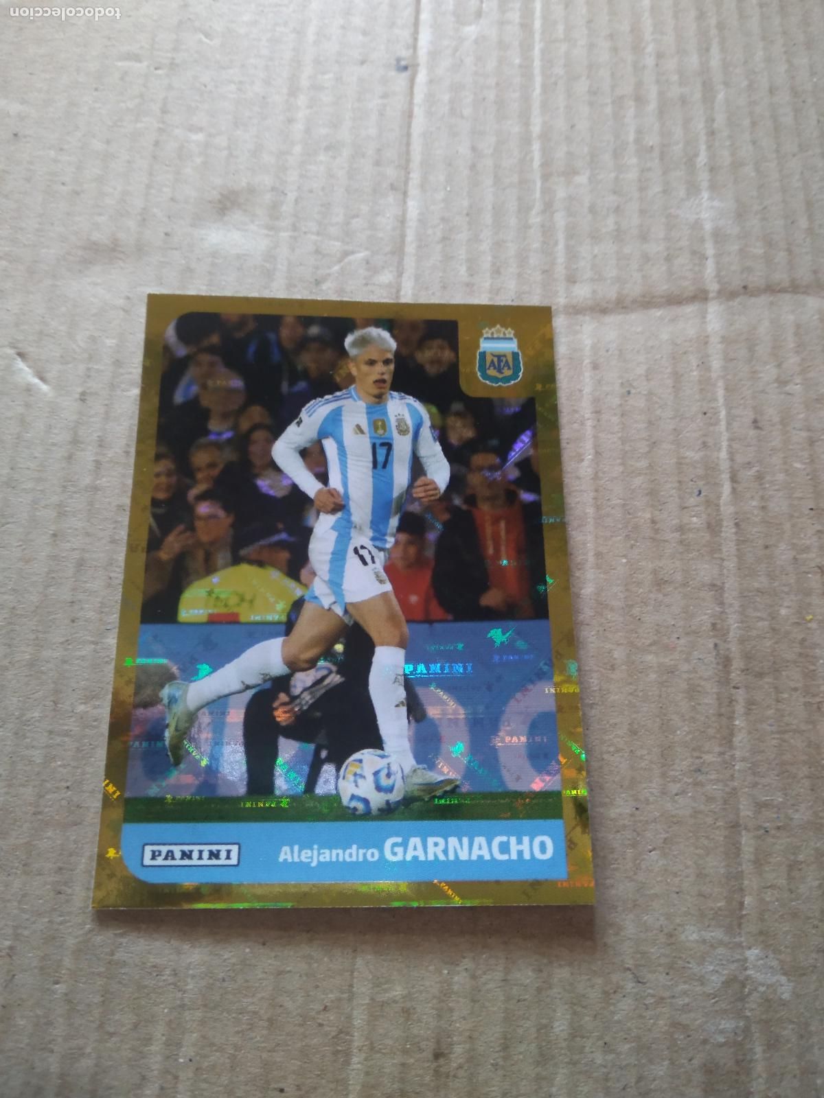 Cromos de Futebol: ARG 19 GARNACHO ROOKIE SELECCION NACIONAL CROMO FUTBOL ARGENTINO PANINI LIGA ARGENTINA 2025