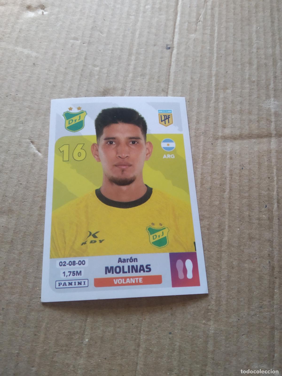 Fu&szlig;ball-Sticker: DYJ 12 AARON MOLINAS DEFENSA Y JUSTICIA CROMO FUTBOL ARGENTINO PANINI LIGA ARGENTINA 2024