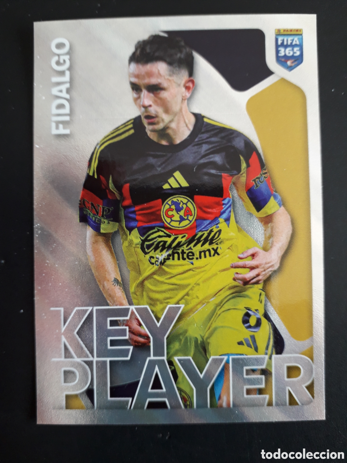 Cromos de F&uacute;tbol: FIDALGO CLUB AM&Eacute;RICA N&deg; 309 FIFA 365 PANINI STICKER 2026 PEDIDO M&Iacute;NIMO 3&euro;.