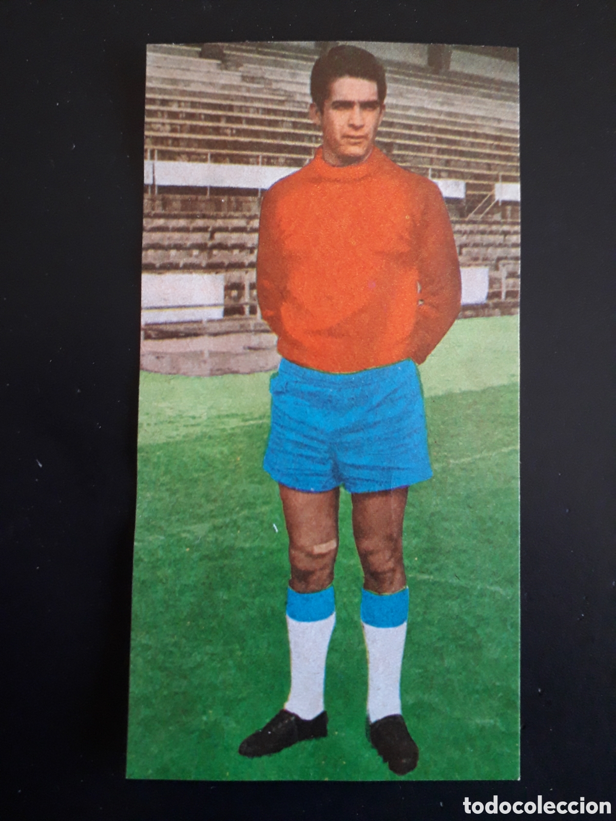 Cromos de F&uacute;tbol: MOLINA SEVILLA N&deg; 252 RUIZ ROMERO 69 70 1969 1970 DESPEGADO PEDIDO M&Iacute;NIMO 3&euro;