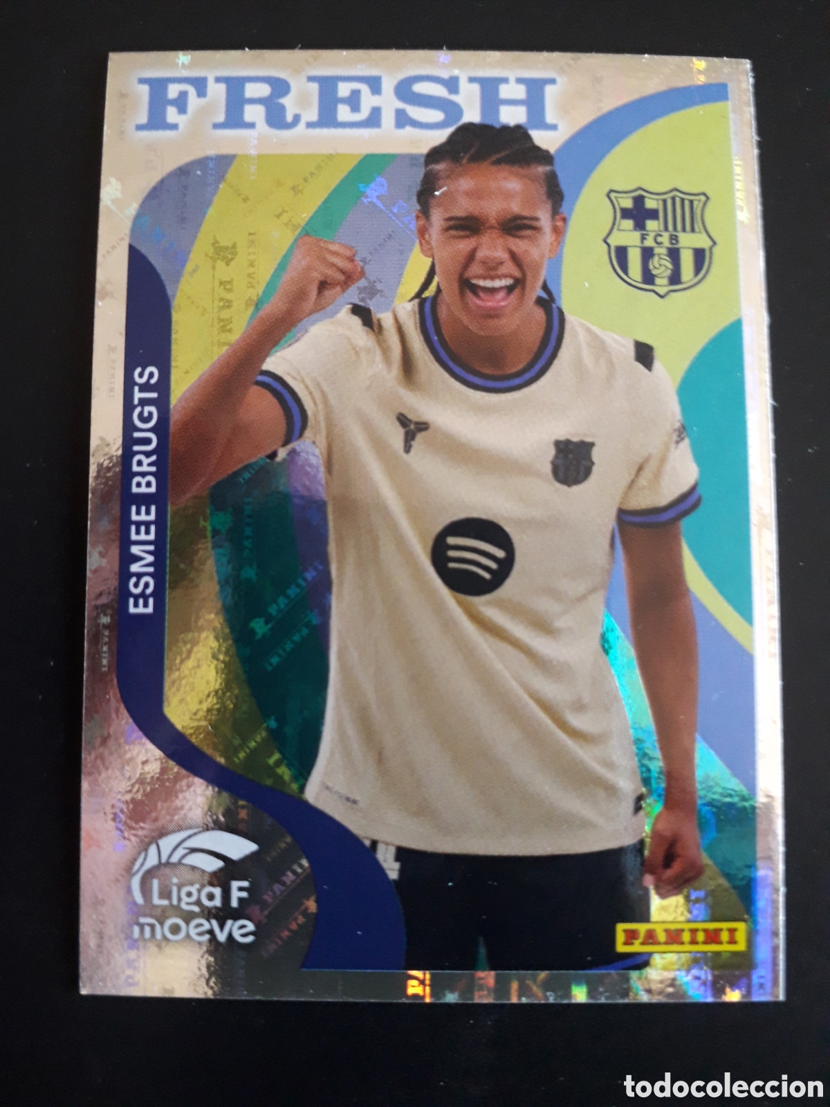 Cromos de Futebol: ESMEE BRUGTS FC BARCELONA FRESH N&deg; 375 LIGA F FEMENINA 2025 2026 25 26 PANINI PEDIDO M&Iacute;NIMO 3&euro;