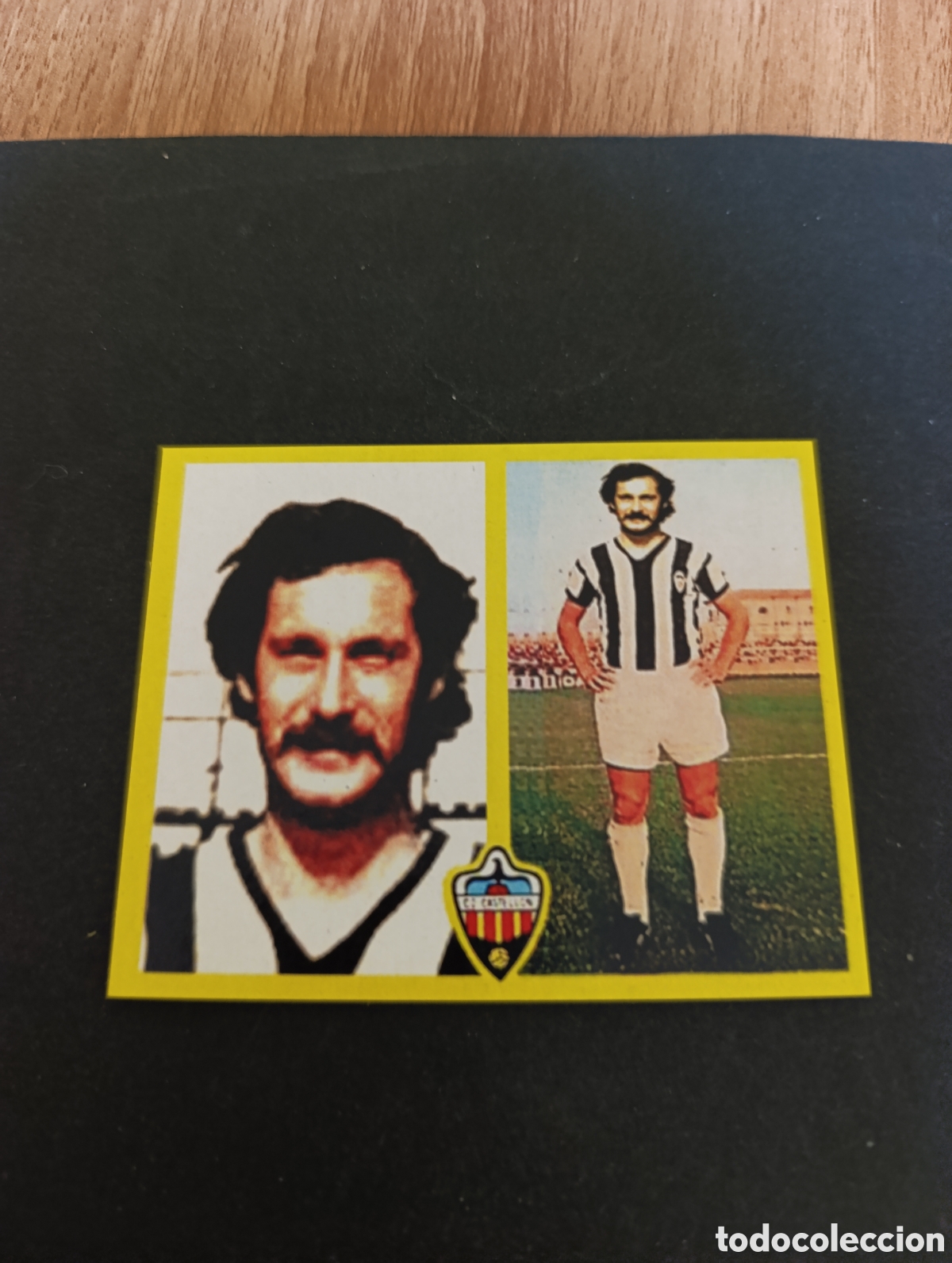 Cromos de F&uacute;tbol: Cromo Maguregui CD Castell&oacute;n Liga Este 72 73, ampliaci&oacute;n de la colecci&oacute;n