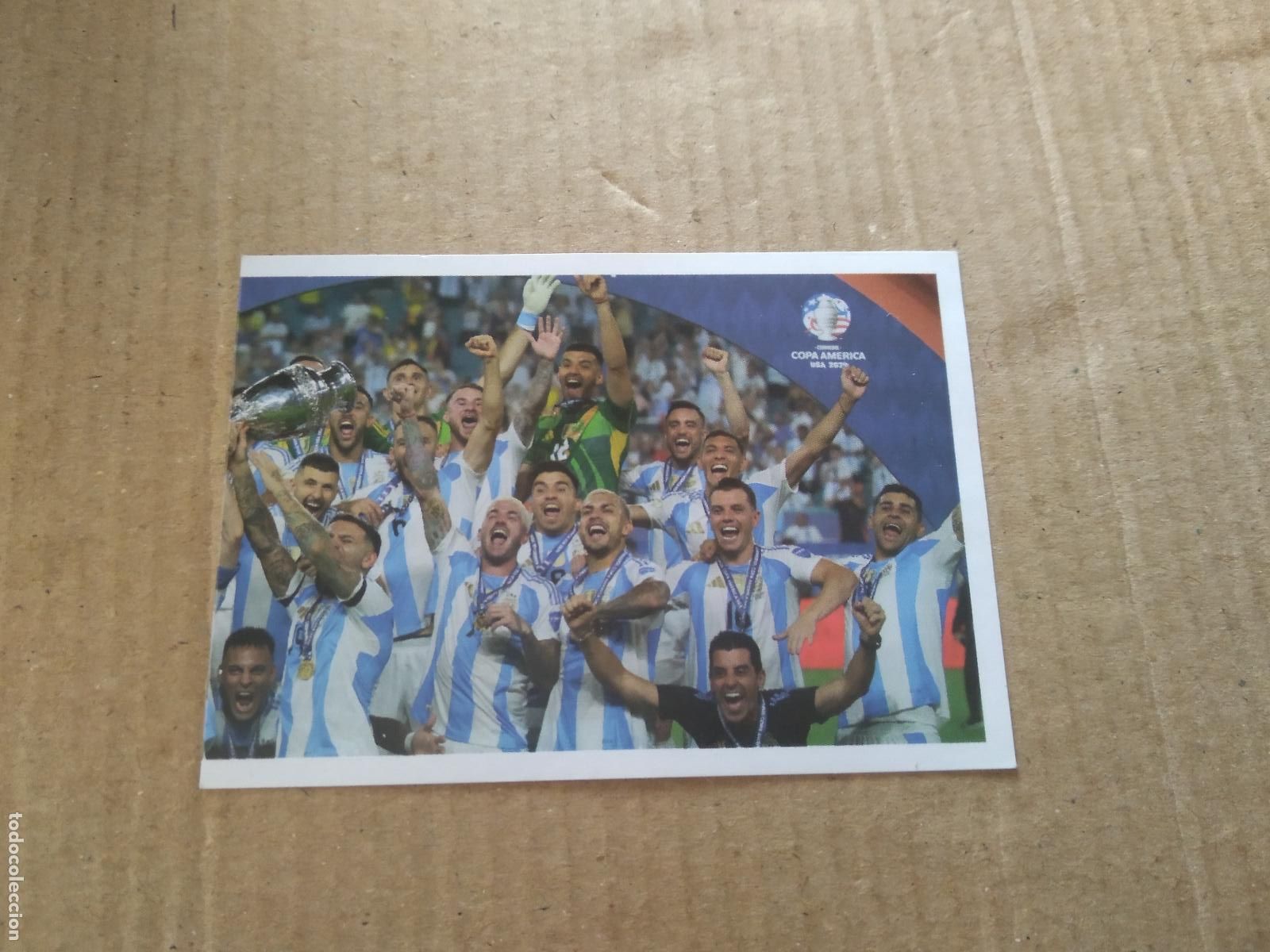 Figurine di Calcio: YPF 10 EQUIPO PLANTILLA COPA AMERICA CROMO FUTBOL ARGENTINO PANINI LIGA ARGENTINA 2024