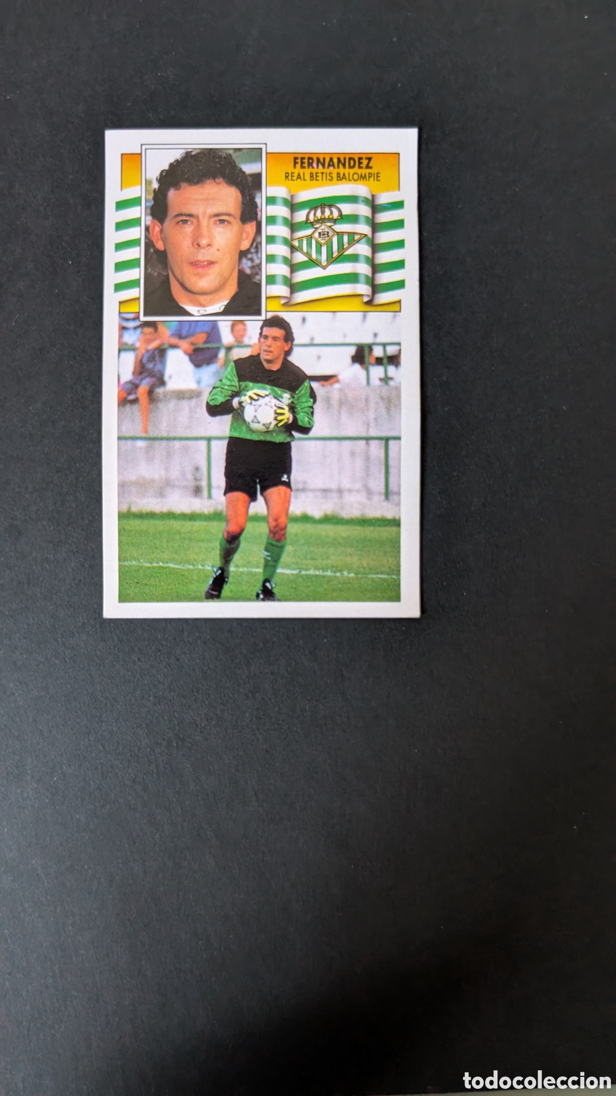 Cromos de F&uacute;tbol: L1 FERNANDEZ BETIS FICHAJE 15 LIGA ESTE 1990/91 90 91 DESPEGADO