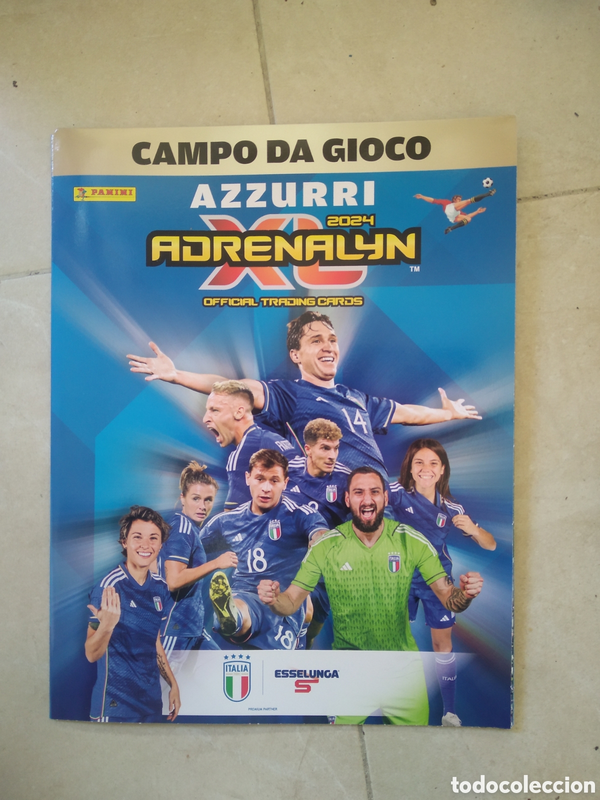 Cromos de F&uacute;tbol: TABLERO DE JUEGO CROMO FUTBOL PANINI ADRENALYN 2024 AZZURRI OFFICIAL TRADING CARD CAMPO DA GIOCO