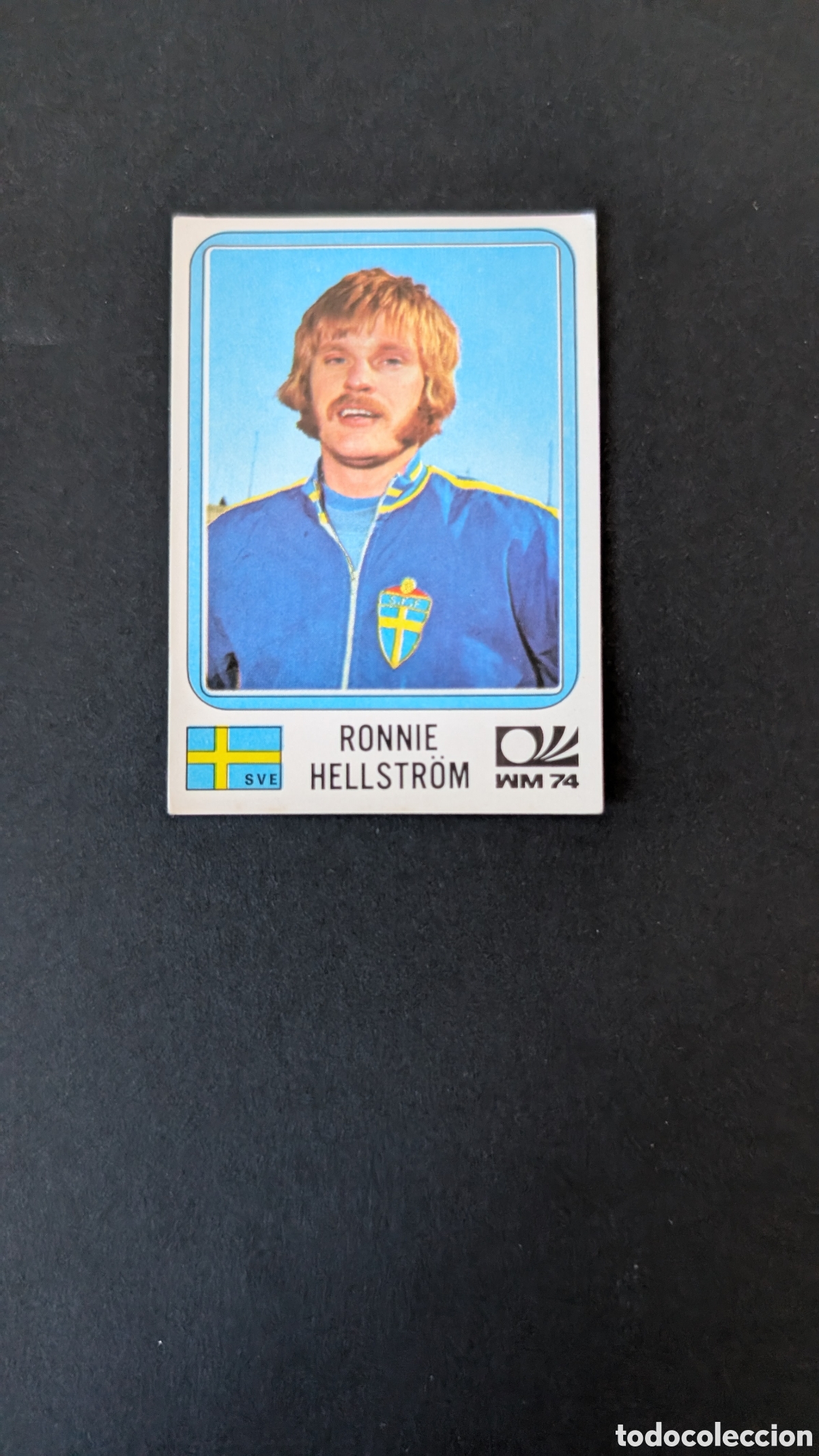 Football Stickers: RONNIE HELLSTROM 269 SUECIA MUNDIAL MUNICH 1974 74 PANINI NUNCA PEGADO SIN PEGAR