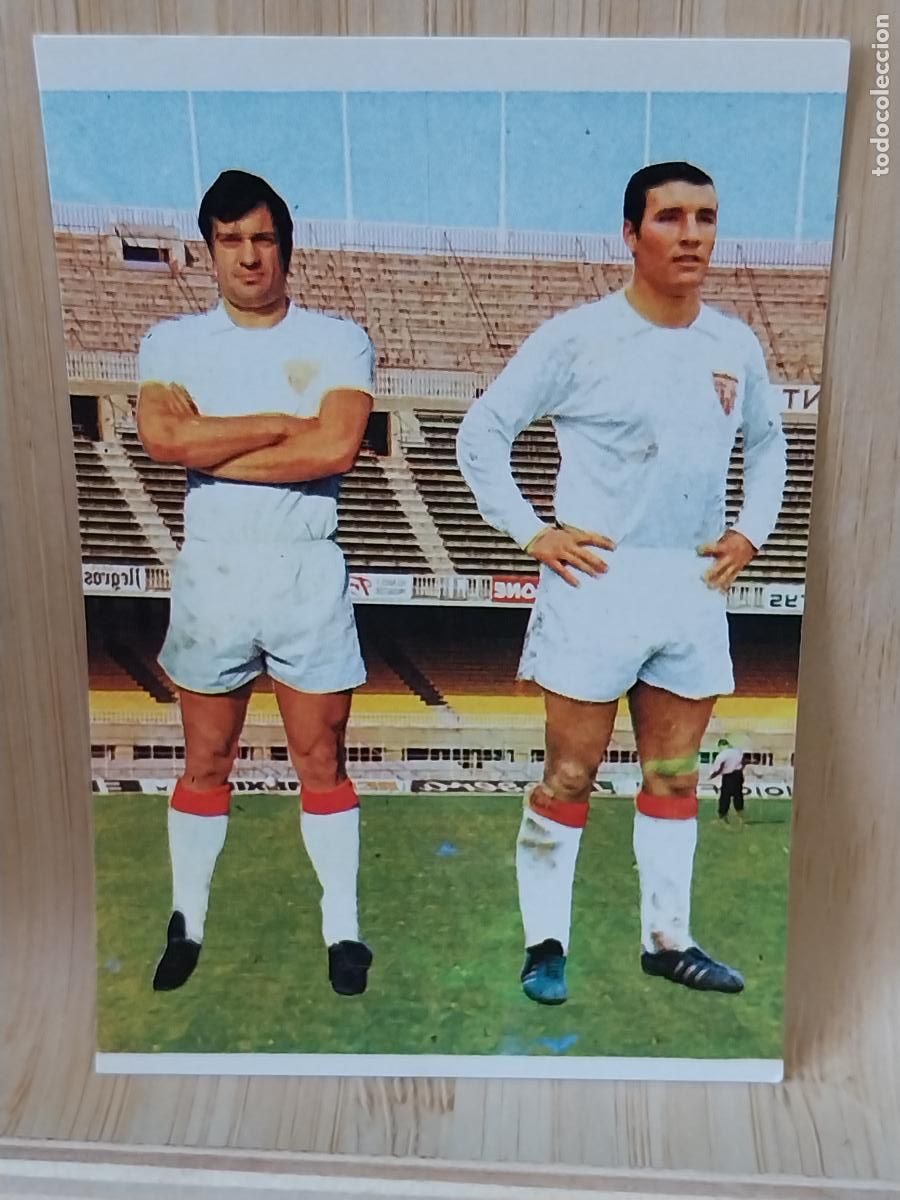 Cromos de F&uacute;tbol: SANJOSE - M JAYO SEVILLA RUIROMER A&Ntilde;O 1975 75 76 CROMO 186 **--** SIN PEGAR NUNCA ROMERO