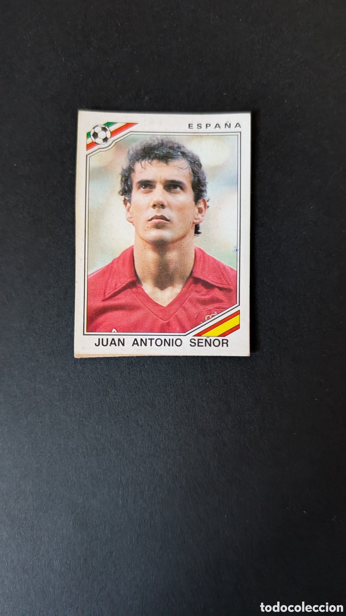 Cromos de F&uacute;tbol: SE&Ntilde;OR 264 ESPA&Ntilde;A MUNDIAL MEXICO 1986 86 PANINI RECUPERADO