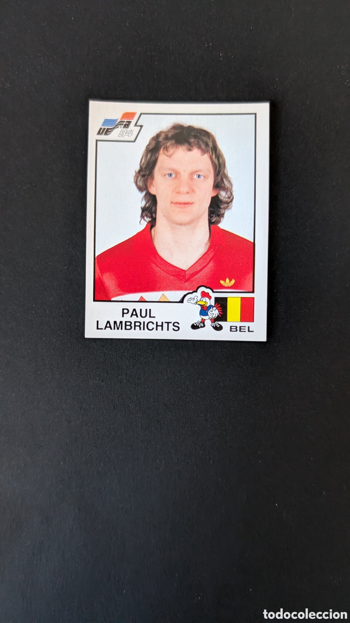 Figurine di Calcio: LAMBRICHTS 89 BELGICA EUROCOPA EURO FRANCIA 1984 84 PANINI NUNCA PEGADO SIN PEGAR
