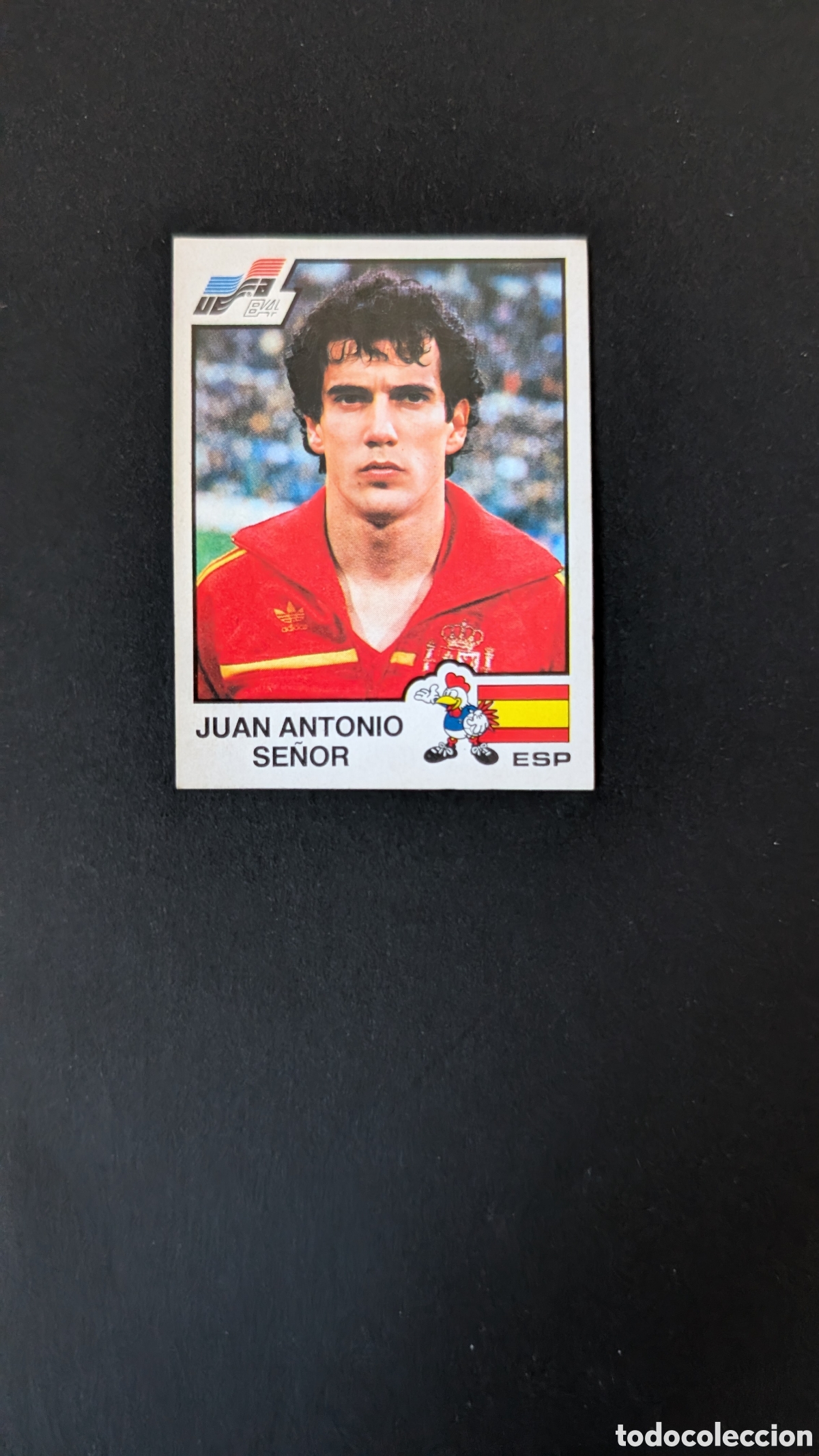 Cartes &agrave; collectionner de Football: JUAN ANTONIO SE&Ntilde;OR 223 ESPA&Ntilde;A EUROCOPA EURO FRANCIA 1984 84 PANINI NUNCA PEGADO SIN PEGAR