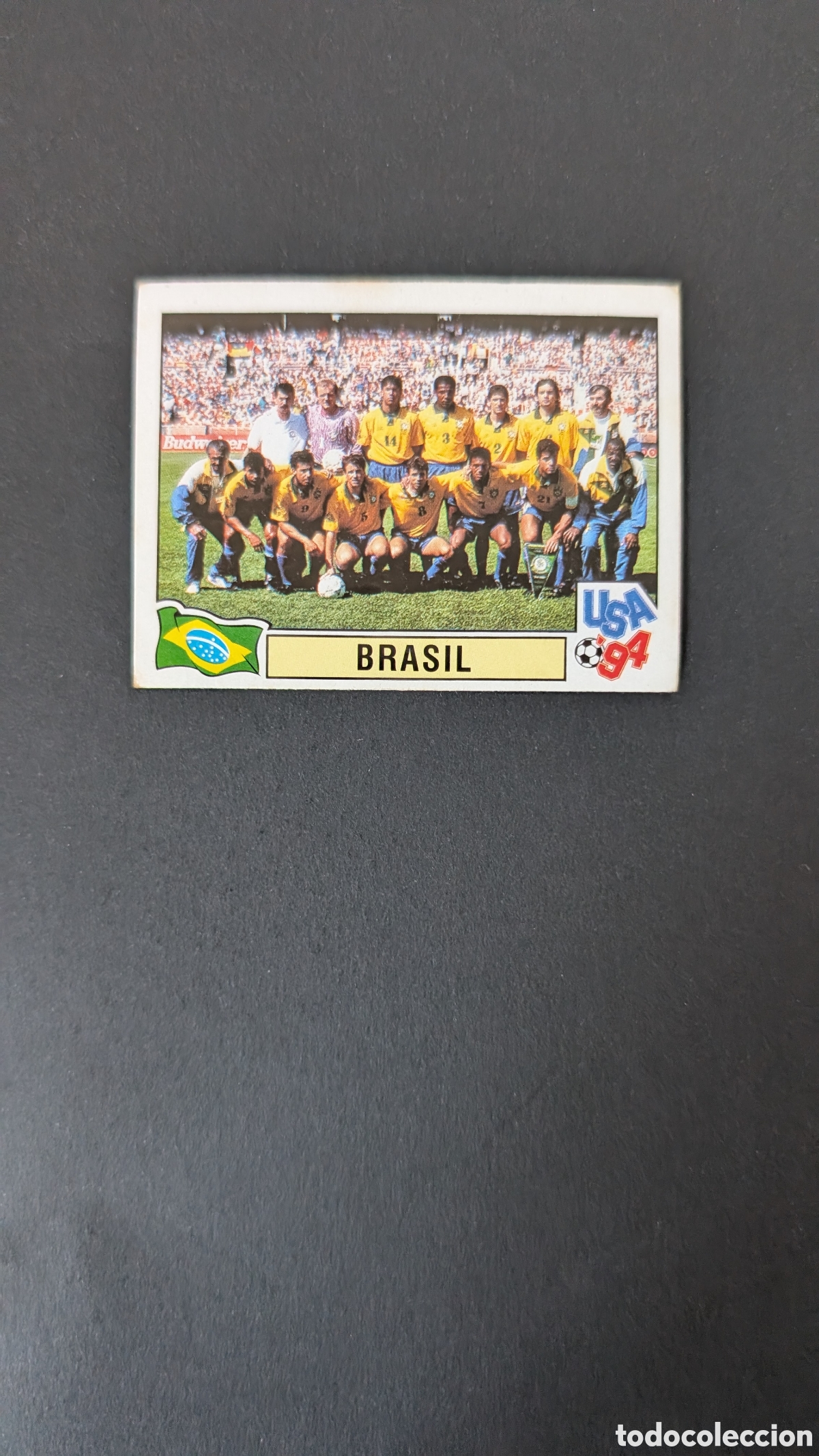 Cromos de Futebol: L2 EQUIPO SELECCION BRASIL 105 MUNDIAL USA 1994 94 PANINI NUNCA PEGADO SIN PEGAR