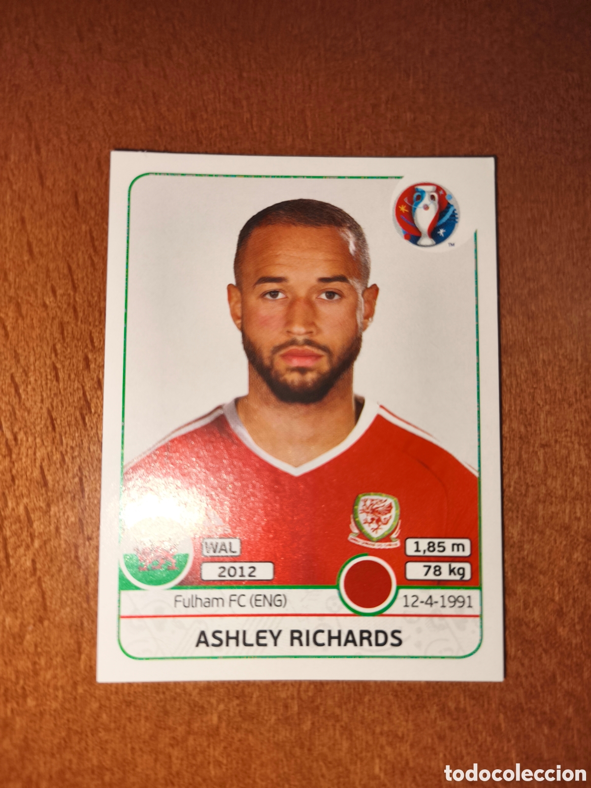 Cromos de F&uacute;tbol: Ashley Richards n&deg;187 UEFA Euro 2016 Gales