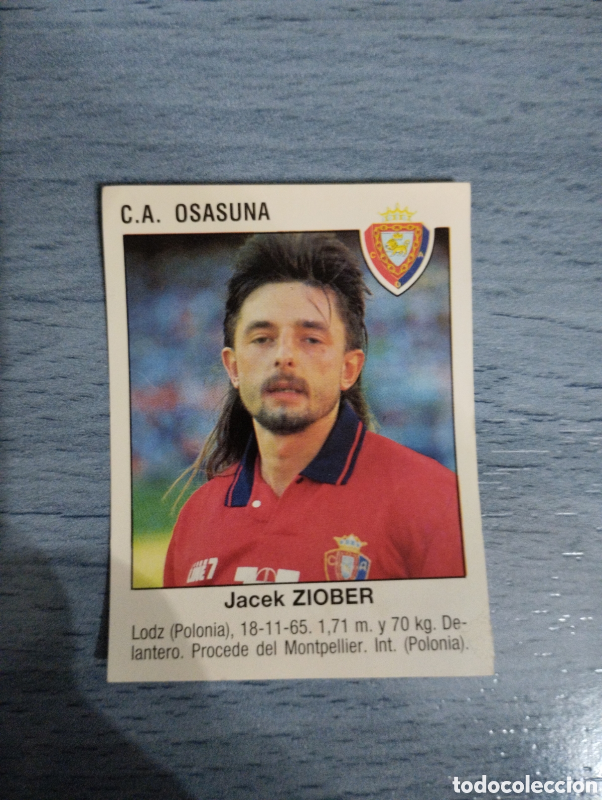 Cromos de F&uacute;tbol: Cromo Panini liga 93 94 &uacute;ltima incorporaci&oacute;n ziober Osasuna sin pegar